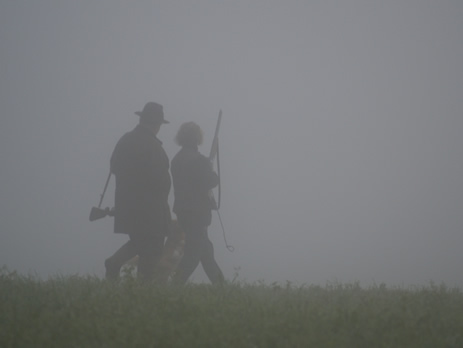 toller-ruede-prüfung